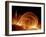 Solar Coronal Loops-null-Framed Photographic Print