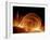 Solar Coronal Loops-null-Framed Photographic Print