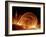 Solar Coronal Loops-null-Framed Photographic Print