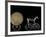 Solar Disk with Chariot and Horse Replica, Bronze Age, Germany-Kenneth Garrett-Framed Photographic Print