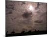 Solar Eclipse, August Lambourn 1999-null-Mounted Photographic Print