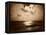 Solar Effect - Ocean, 1857-Gustave Le Gray-Framed Premier Image Canvas