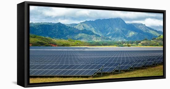 Solar Energy Panels on Field, Poipu, Kauai County, Hawaii, USA-null-Framed Premier Image Canvas