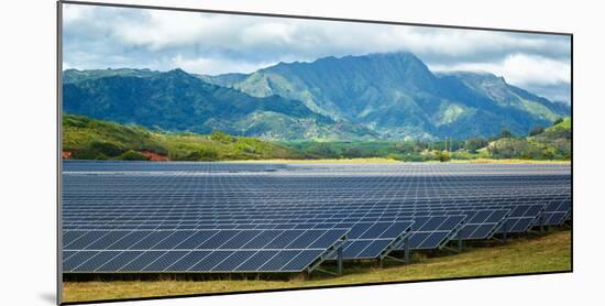 Solar Energy Panels on Field, Poipu, Kauai County, Hawaii, USA-null-Mounted Photographic Print