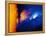 Solar Flare-Detlev Van Ravenswaay-Framed Premier Image Canvas