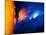 Solar Flare-Detlev Van Ravenswaay-Mounted Photographic Print