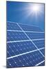 Solar Panels In the Sun-Detlev Van Ravenswaay-Mounted Photographic Print