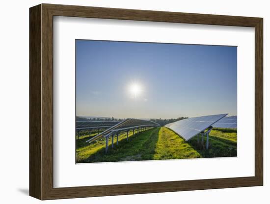 Solar panels wit sun, Franconia, Bavaria, Germany-Raimund Linke-Framed Photographic Print
