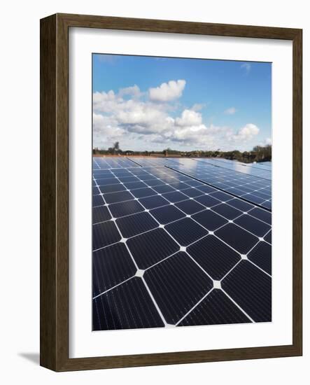 Solar panels-Charles Bowman-Framed Photographic Print