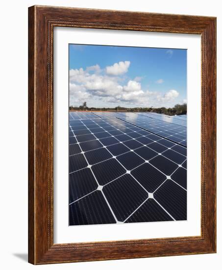 Solar panels-Charles Bowman-Framed Photographic Print