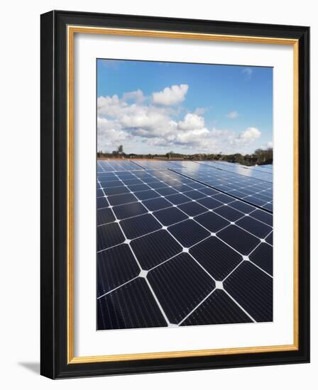 Solar panels-Charles Bowman-Framed Photographic Print