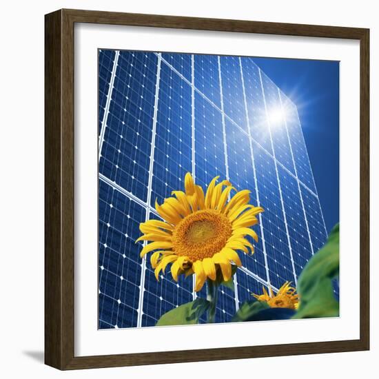 Solar Power, Conceptual Artwork-Detlev Van Ravenswaay-Framed Premium Photographic Print