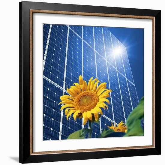 Solar Power, Conceptual Artwork-Detlev Van Ravenswaay-Framed Premium Photographic Print