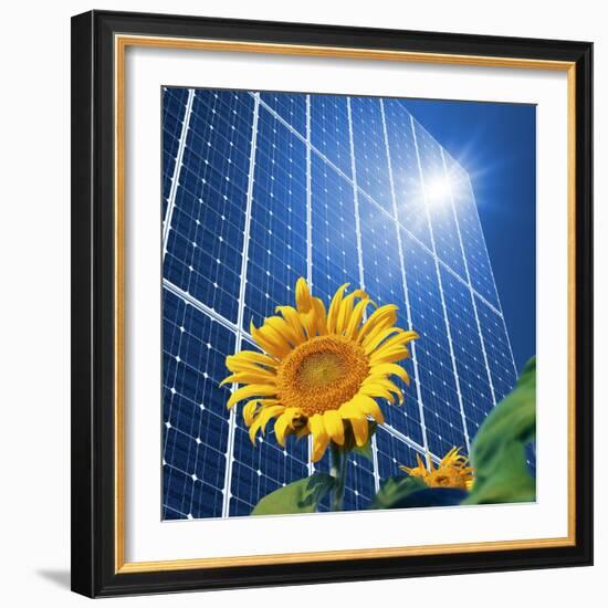 Solar Power, Conceptual Artwork-Detlev Van Ravenswaay-Framed Premium Photographic Print