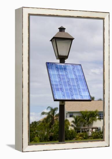 Solar Powered Street Lamp In Florida USA.-Mark Williamson-Framed Premier Image Canvas