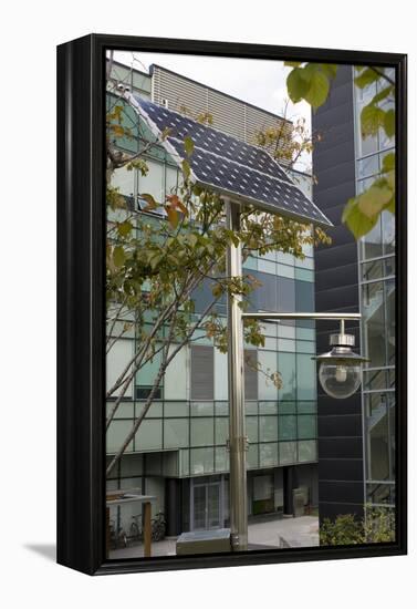 Solar-powered Street Light In Daejeon-Mark Williamson-Framed Premier Image Canvas