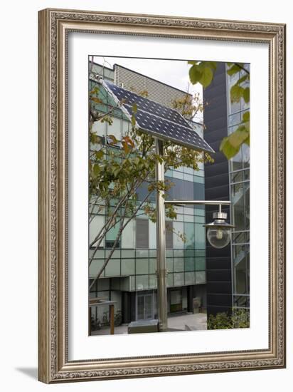 Solar-powered Street Light In Daejeon-Mark Williamson-Framed Photographic Print