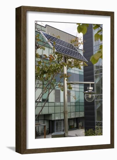 Solar-powered Street Light In Daejeon-Mark Williamson-Framed Photographic Print