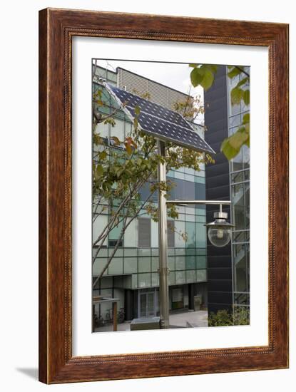 Solar-powered Street Light In Daejeon-Mark Williamson-Framed Photographic Print