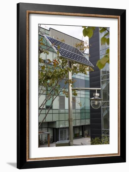Solar-powered Street Light In Daejeon-Mark Williamson-Framed Photographic Print