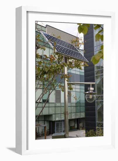 Solar-powered Street Light In Daejeon-Mark Williamson-Framed Photographic Print