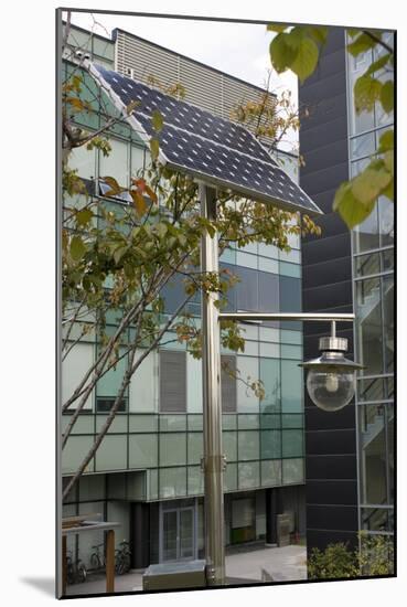 Solar-powered Street Light In Daejeon-Mark Williamson-Mounted Photographic Print