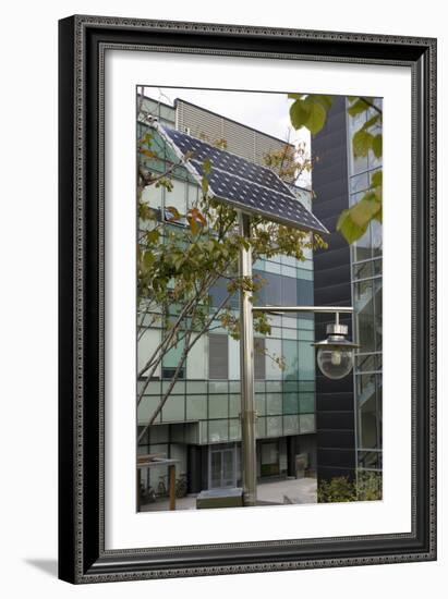 Solar-powered Street Light In Daejeon-Mark Williamson-Framed Photographic Print