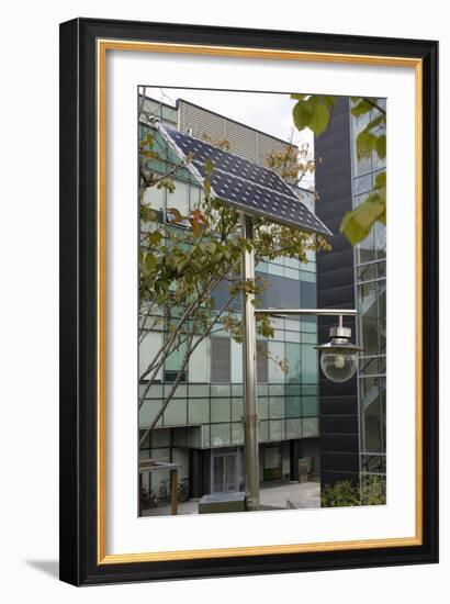 Solar-powered Street Light In Daejeon-Mark Williamson-Framed Photographic Print