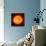 Solar Prominence, SOHO Image-null-Framed Premier Image Canvas displayed on a wall