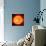 Solar Prominence, SOHO Image-null-Premium Photographic Print displayed on a wall