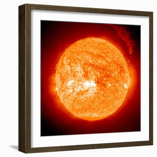 Solar Prominence, SOHO Image-null-Framed Premium Photographic Print