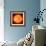 Solar Prominence, SOHO Image-null-Framed Premium Photographic Print displayed on a wall