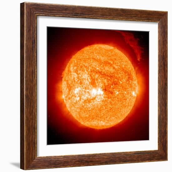 Solar Prominence, SOHO Image-null-Framed Premium Photographic Print