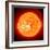 Solar Prominence, SOHO Image-null-Framed Premium Photographic Print