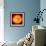 Solar Prominence, SOHO Image-null-Framed Premium Photographic Print displayed on a wall