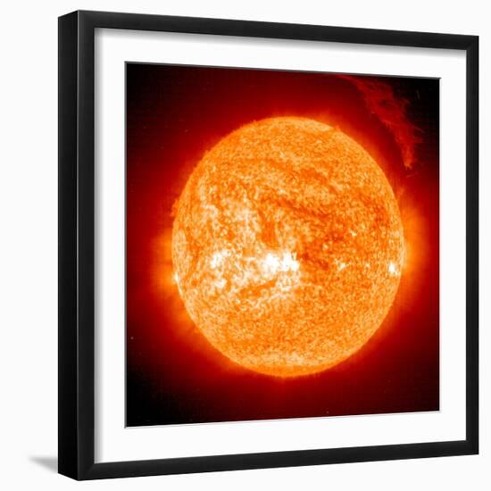 Solar Prominence, SOHO Image-null-Framed Premium Photographic Print