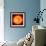 Solar Prominence, SOHO Image-null-Framed Premium Photographic Print displayed on a wall