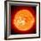 Solar Prominence, SOHO Image-null-Framed Premium Photographic Print