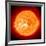 Solar Prominence, SOHO Image-null-Framed Photographic Print