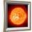 Solar Prominence, SOHO Image-null-Framed Photographic Print