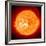 Solar Prominence, SOHO Image-null-Framed Photographic Print