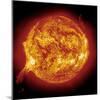 Solar Prominence-null-Mounted Premium Photographic Print