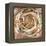 Solar Ring-Rikki Drotar-Framed Premier Image Canvas