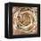 Solar Ring-Rikki Drotar-Framed Premier Image Canvas