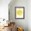 Solar Sun-Belle Poesia-Framed Giclee Print displayed on a wall