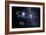 Solar System, Artwork-Detlev Van Ravenswaay-Framed Photographic Print