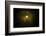 Solar System, Artwork-null-Framed Photographic Print