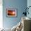 Solar System Formation-Detlev Van Ravenswaay-Framed Photographic Print displayed on a wall