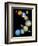 Solar System Montage-Stocktrek Images-Framed Photographic Print