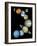 Solar System Montage-Stocktrek Images-Framed Photographic Print